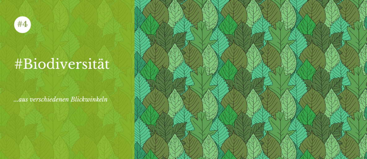 "Biodiversität. Aus verschiedenen Blickwinkeln."