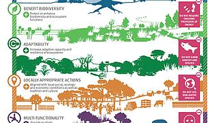 Nature-based Solutions