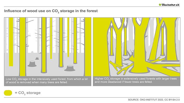 Impact of wood use on forest carbon pools