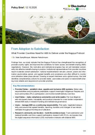Cover of the publication: From Adoption to Satisfaction