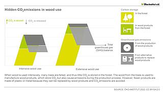 Hidden carbon emissions from wood use