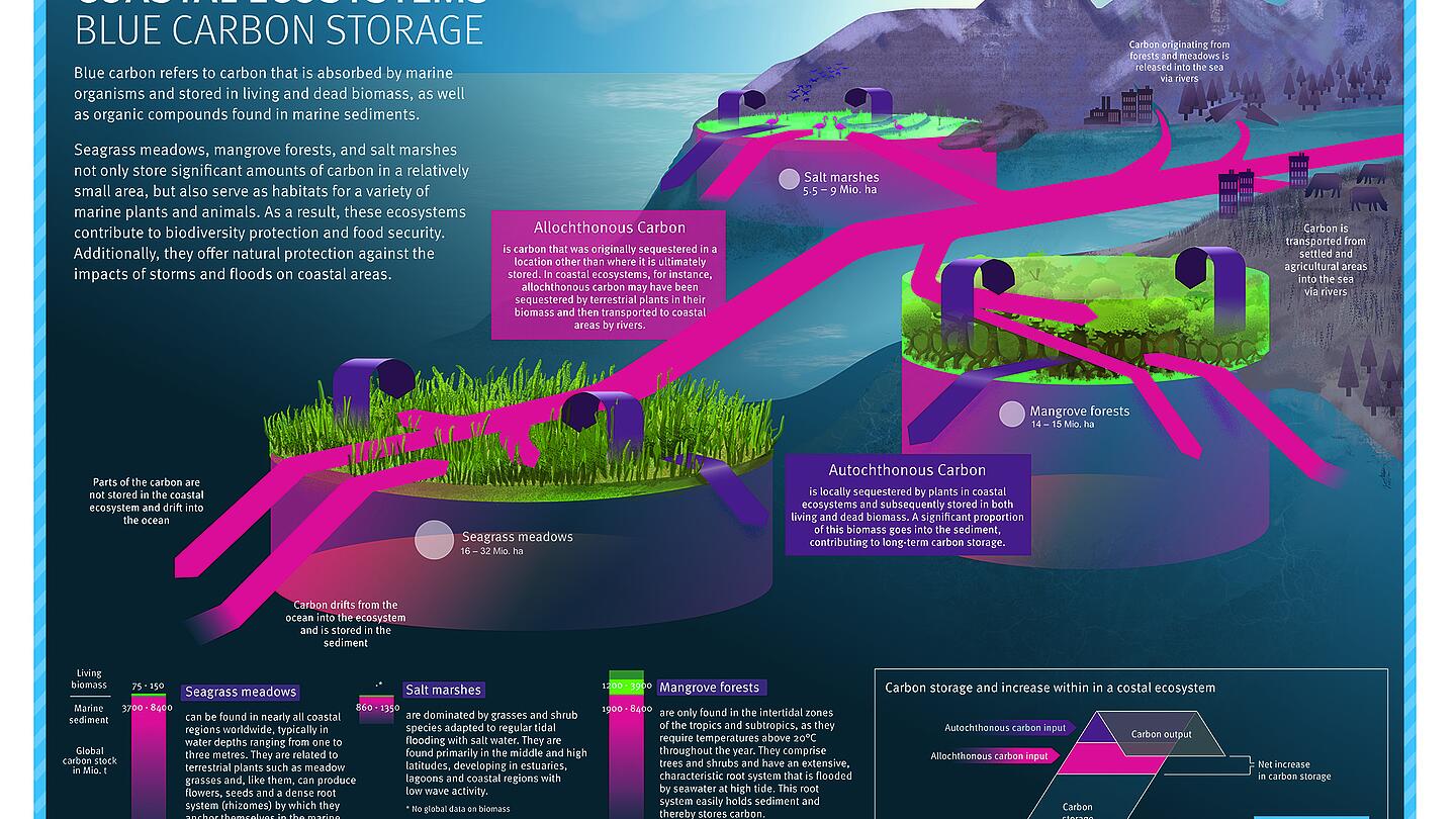 Land-use transition at Oeko-Institut: for climate & biodiversity