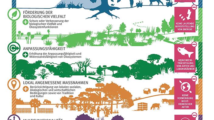 Naturbasierte Lösungen