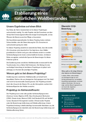 Preview of PDF File