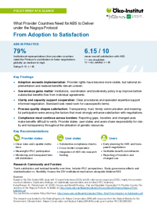 Cover of the publication: Policy Brief at a glance - From Adoption to Satisfaction