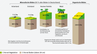 Kohlenstoffvorräte unterschiedlicher Flächennutzungen