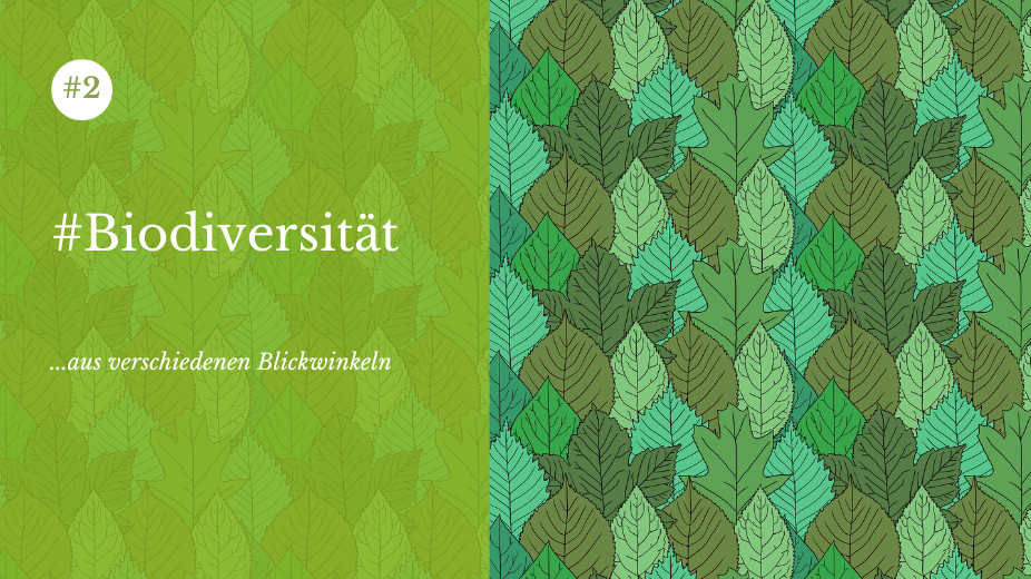 "Biodiversität. Aus verschiedenen Blickwinkeln."