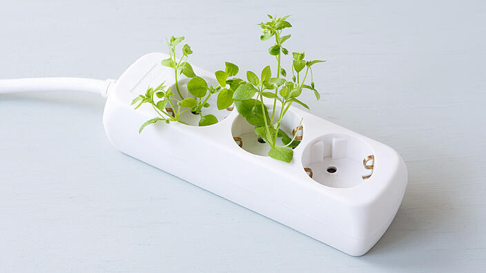 Wie geht es mit den Erneuerbaren Energien  weiter?