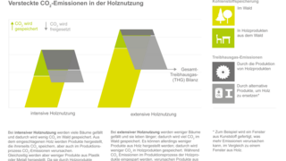Versteckte CO2-Emissionen in der Holznutzung