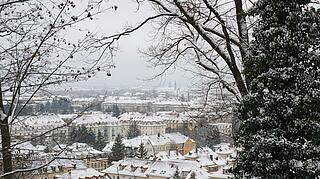 Blick auf eine winterliche Stadt mit Bäumen rechts und links im Vordergrund
