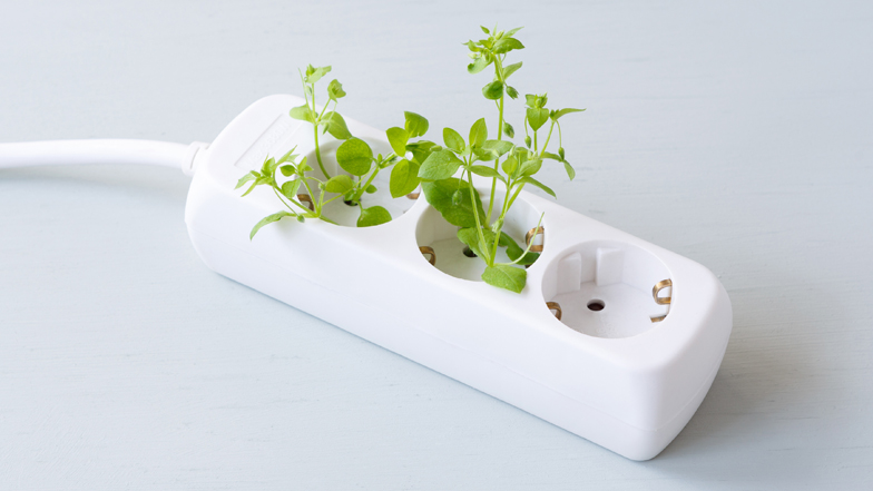 Wie geht es mit den Erneuerbaren Energien  weiter?