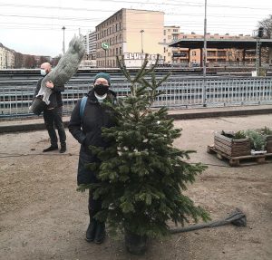 Emily Castro with a german Weihnachtsbaum, Quelle: privat