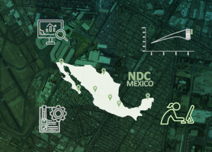 NDC Mexico, Quelle: Emily Castro